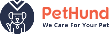 Visual Data Insights